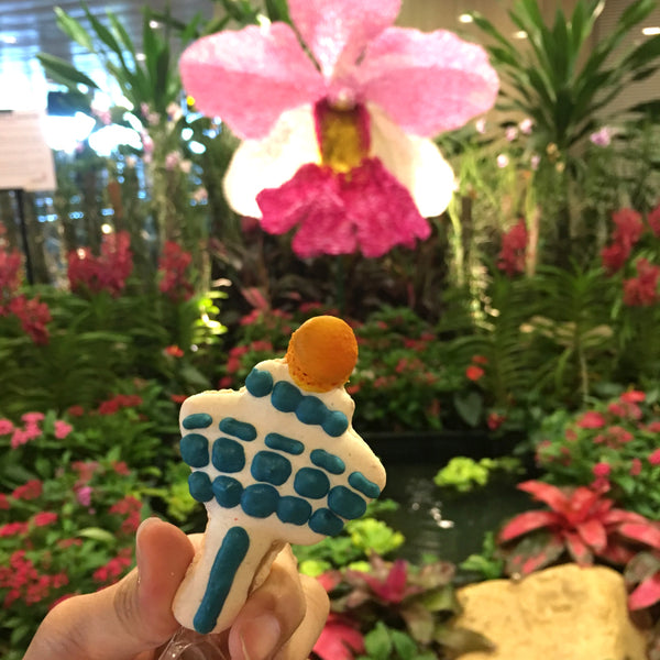 Changi Airport Macarons
