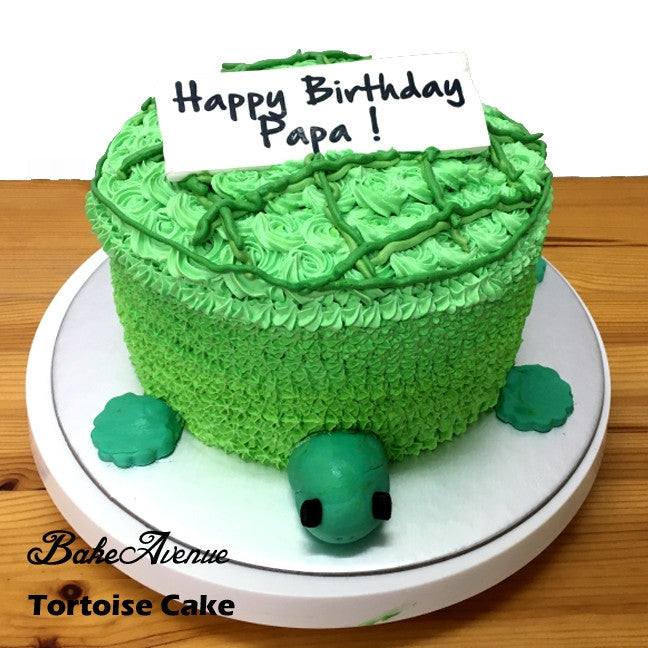 Leopard Tortoise Cake - Decorated Cake by Sam Harrison - CakesDecor