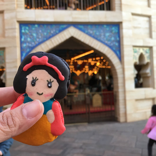 Country Icon (Disneyland Japan Tokyo) Macarons