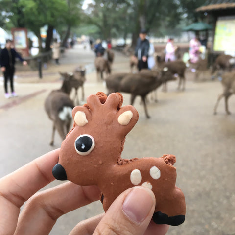 Deer Macarons