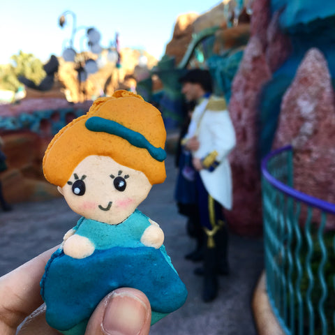 Country Icon (Disneyland Japan Tokyo) Macarons
