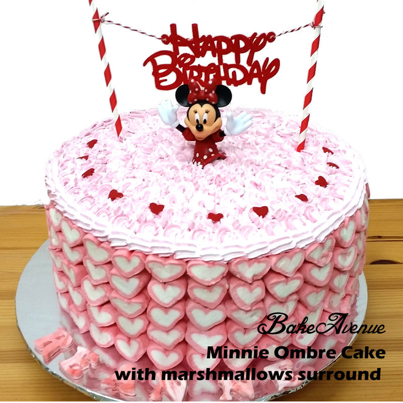 Mickey Minnie Ombre Cake with marshmallows