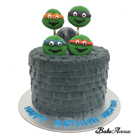 Ninja Turtle Topper Ombre Cake