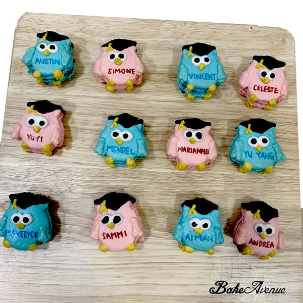 Graduation Owl Macarons