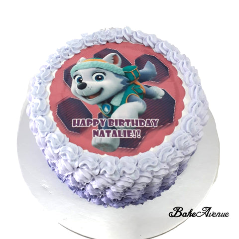 Paw Patrol (Everest) icing image Ombre Cake