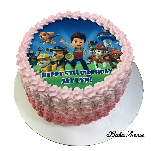 Paw Patrol icing image Ombre Cake