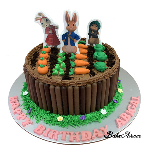 Peter Rabbit Edible Image (on Fondant) Toppers Cake with chocolate fingers