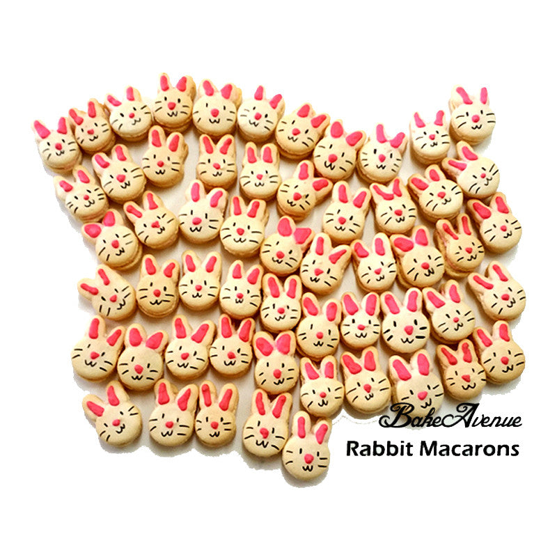 Bunny/ Rabbit (White) Macarons